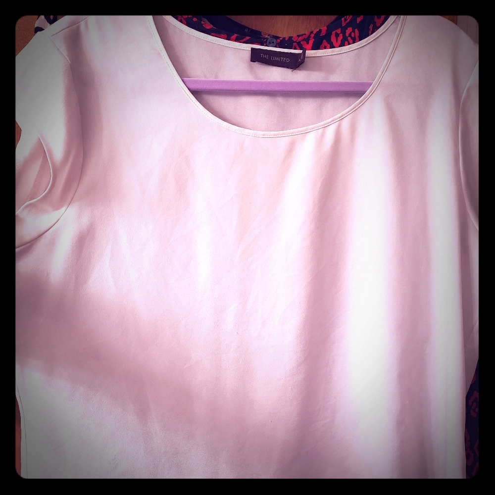 The Limited Blouse